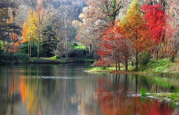 [3796640-mdReflection..jpg]