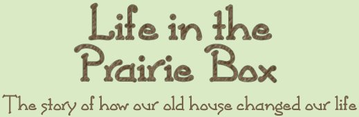 Life in the Prairie Box