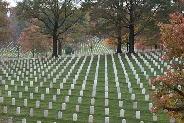 [IJ_Arlington-11.jpg]