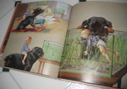 oh the places you ll go good dog carl