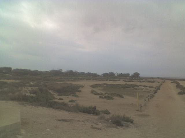 [image-upload-5-731143.jpe]