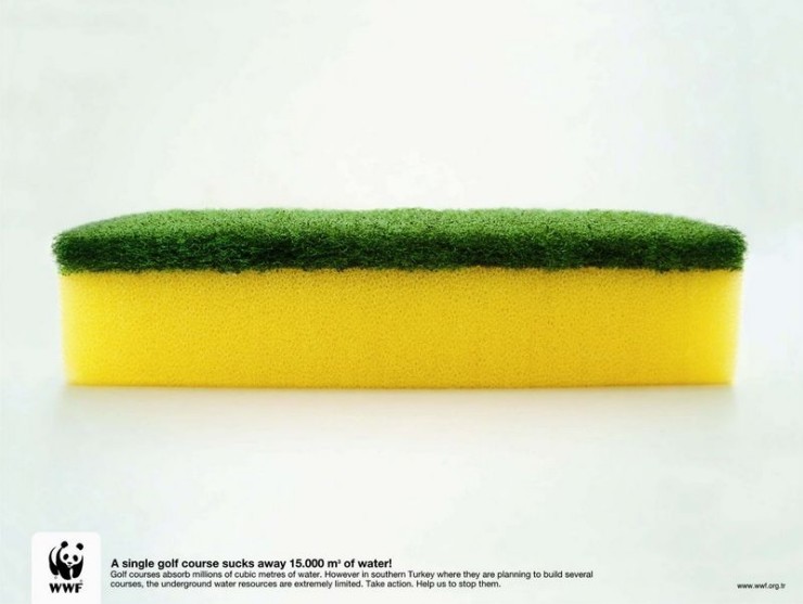 [wwf011.jpg]