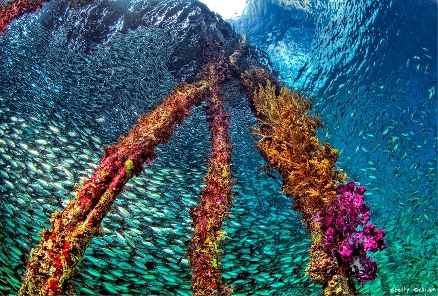 Last Flight Out Photography An Underwater HDR From Under The Pier