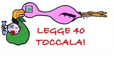 Legge 40 toccala