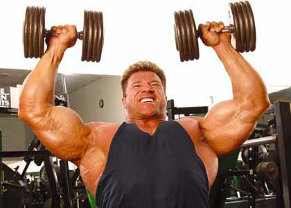 SEATED DUMBBELL PRESS seated dumbbell shoulder press. SEATED DUMBBELL PRESS