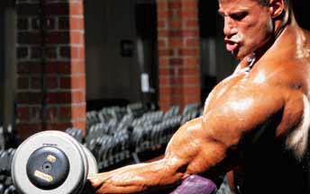 Bodybuilding Routines Routines Of Experts Biceps Advanced Routine Mike Matarazzo Bodybuilding Routines Routines Of Experts Biceps Advanced Routine Mike Matarazzo