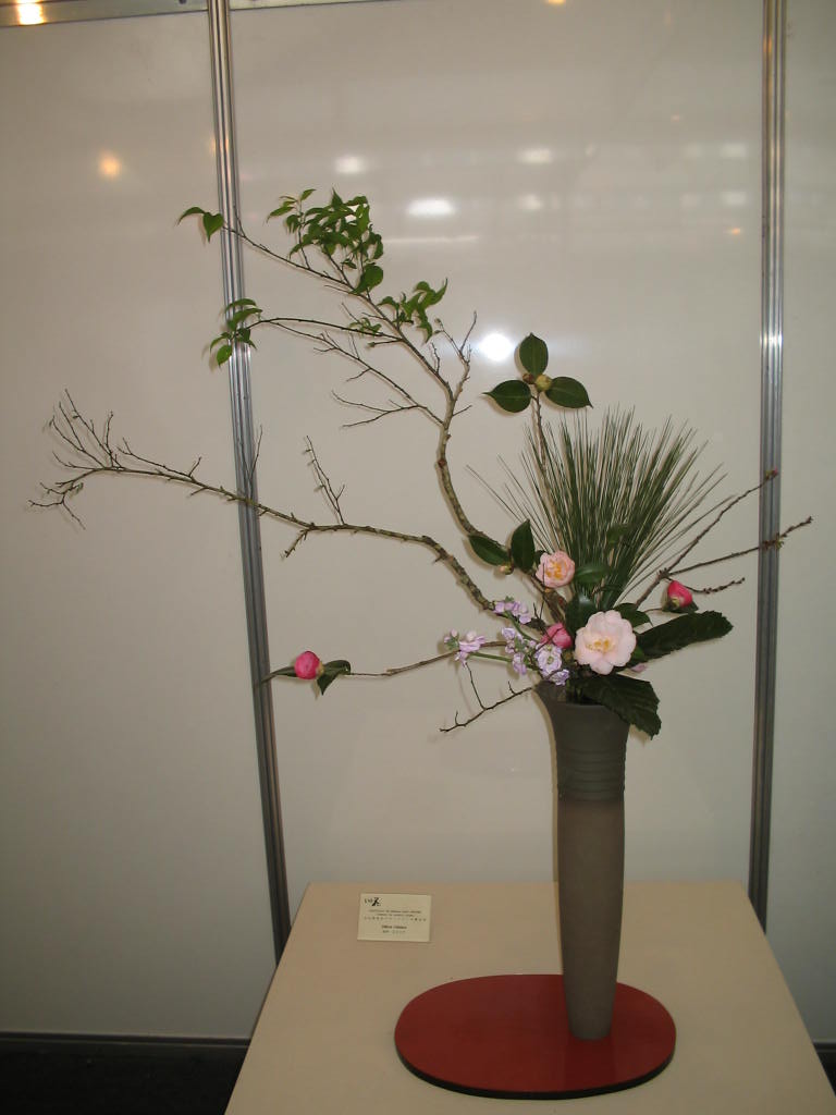[IMG_0601.JPG]