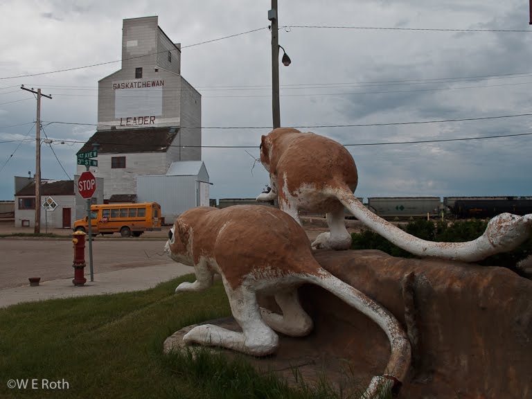 Saskatchewan Grain Elevators Leader, SK