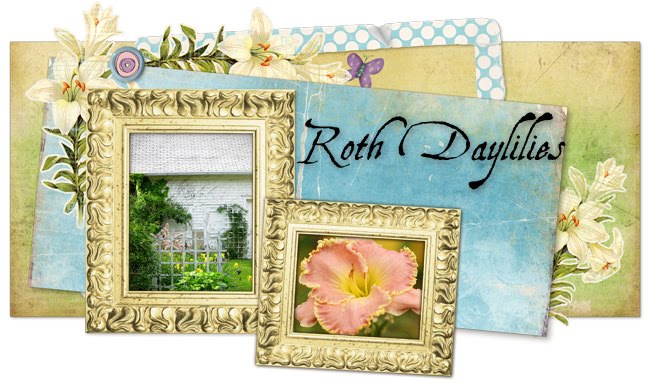 Roth Daylilies