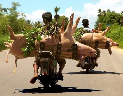 overloaded-vehicle-0007.jpg