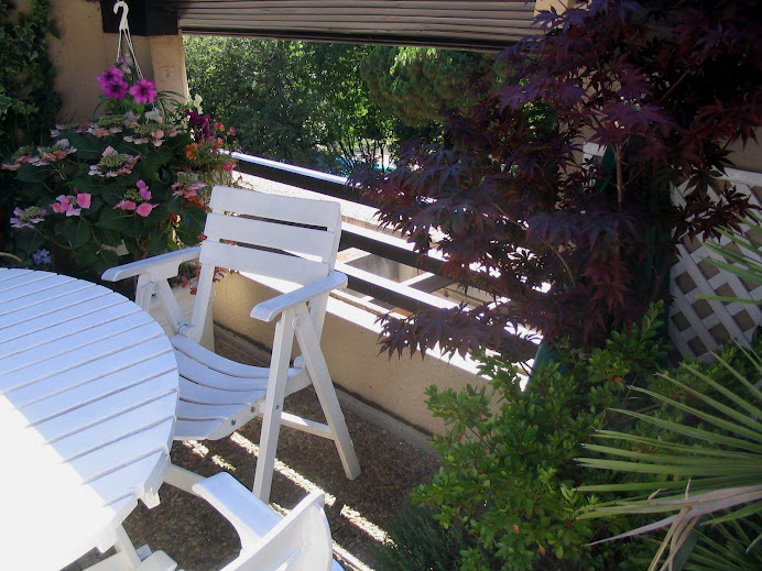 Terrasse de l'appartement