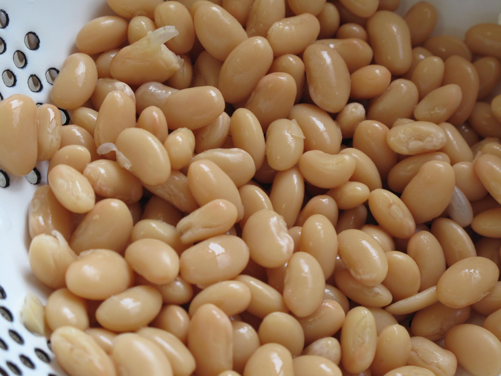 Are Black Beans Low Gi at Scott Vazquez blog