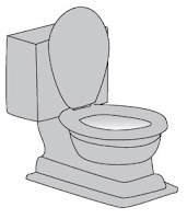 house in the toilet?