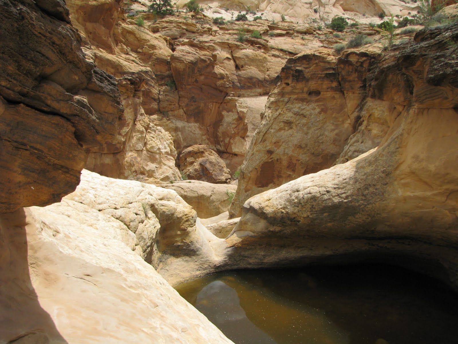 capitol reef petroglyphs