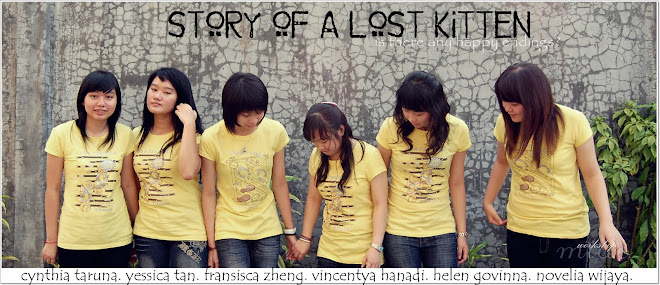 Story of a Lost Kitten