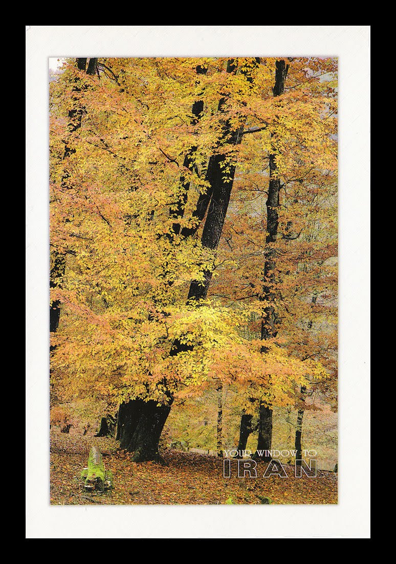 [Postcard_Iran_20091117a.jpg]