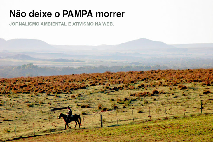 Salve o Pampa | Cristiano Muniz | Jornalismo, ativismo e resistência na web