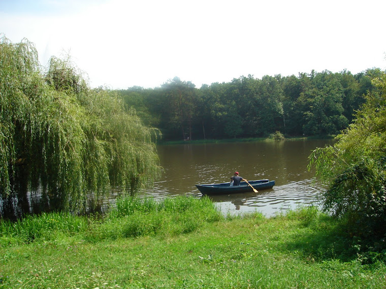 un strop de răcoare într-o zi caniculară