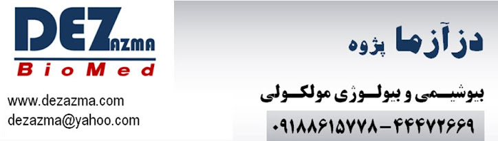 دزآزماپژوه
