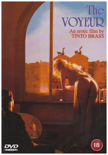 The Voyeur 1994 Hollywood Movie Download