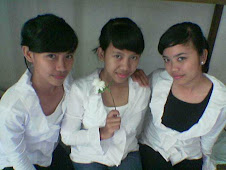 3 DIVA