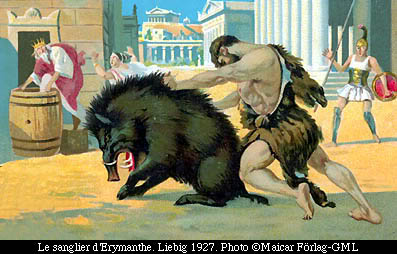 [Imagem: erymanthianboar.jpg]