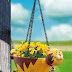 Gardening :Interesting planters that adds cheer to any corner !
