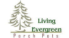 Living Evergreen