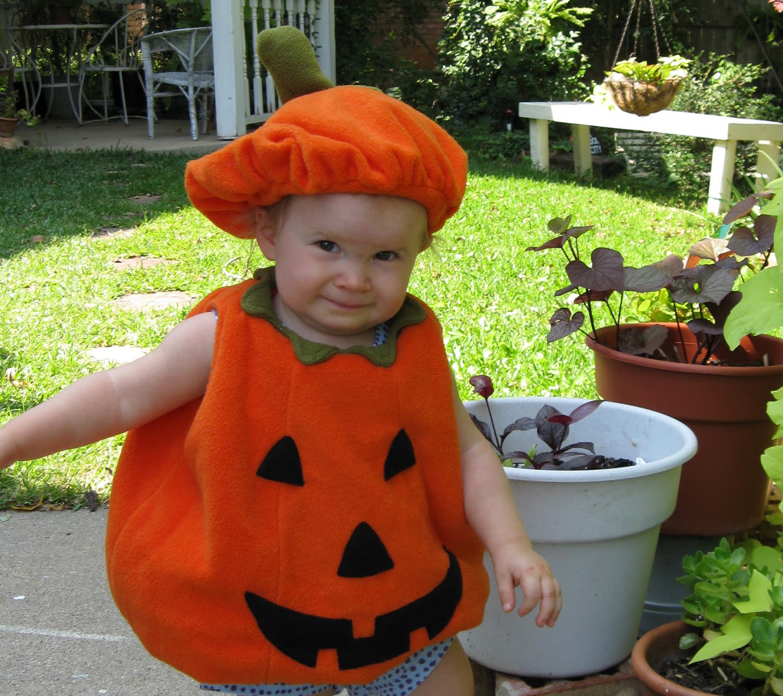 [pumpkin2.jpg]
