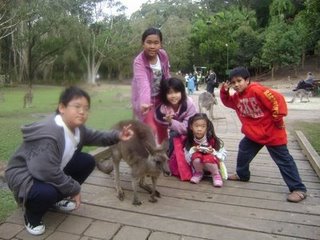 my holiday at Brisbane --Australia