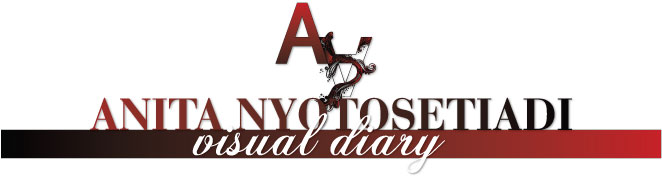 ANITA NYOTOSETIADI DIARY