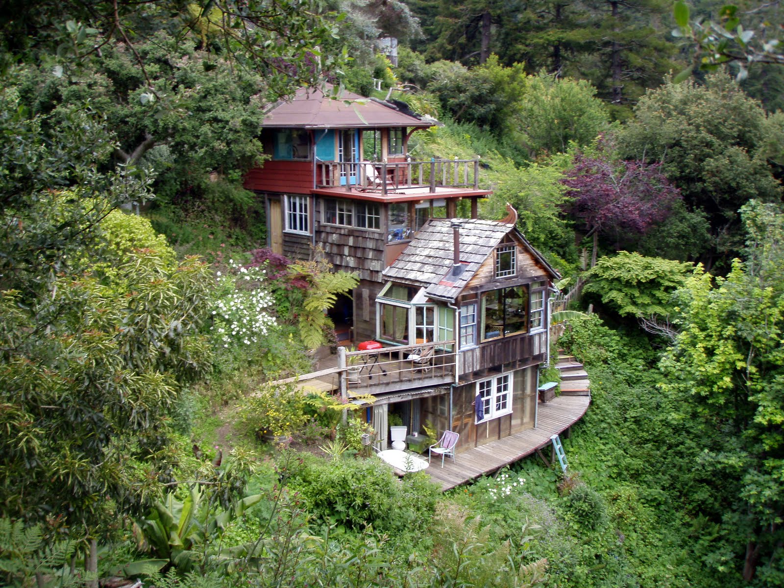 Hiking big sur dog friendly