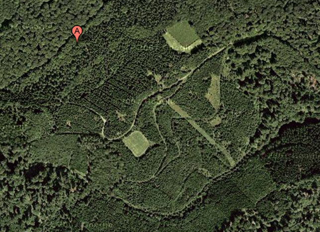 New York History Geschichte November 2010