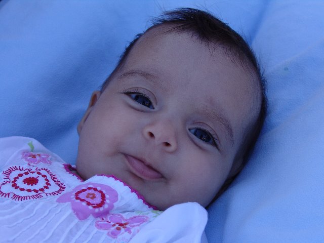[DSC04622.jpg]
