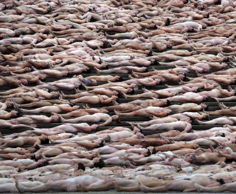 [spencer_tunick16.gif]