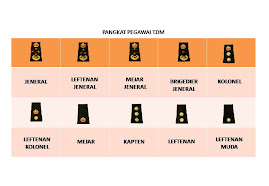 Pangkat TDM