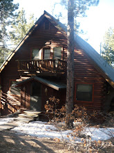 The Cabin