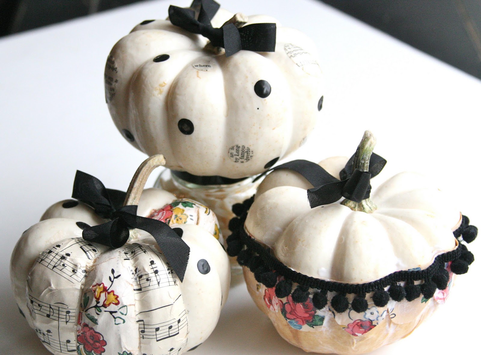 http://2.bp.blogspot.com/_d-0RmmAdars/TMi_VxypyGI/AAAAAAAACic/3VEw0eVyJcg/s1600/white+and+patchy+punkins.jpg