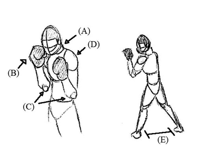 The Squared Circle Learn to Box Stance