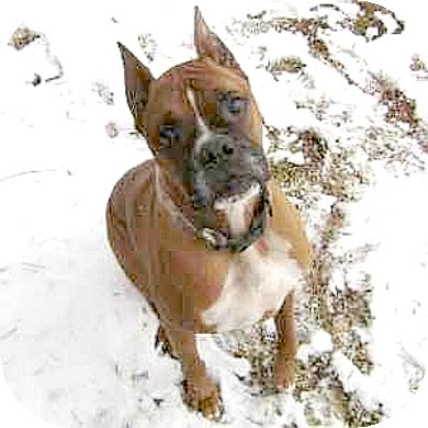 Joe wrote in Craigslist: