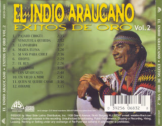 EL INDIO ARAUCANO el indio araucano: