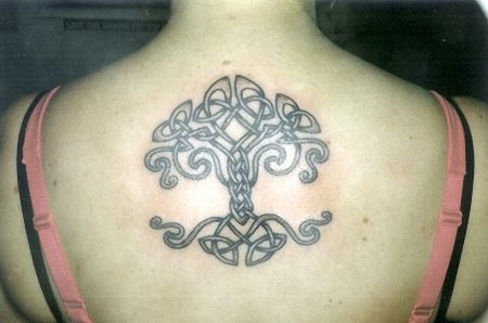 Tree Tattoos tree tattoo