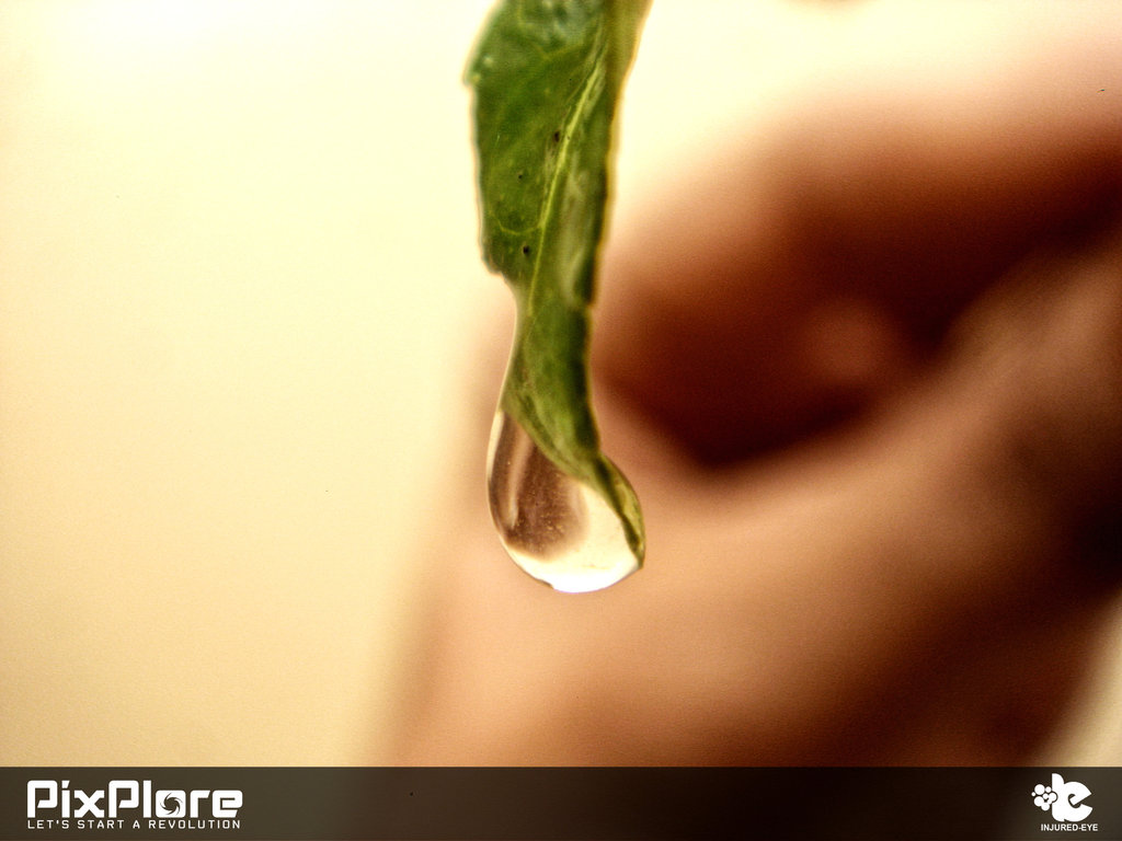 http://2.bp.blogspot.com/_d2hhrNRmcKw/TOj8tMsrpOI/AAAAAAAABK4/8f00nSjk3lU/s1600/Water_drops_by_injured_eye.jpg