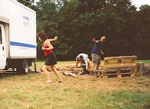 Cops & robbers in the New Forest