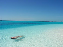 paz en azul..