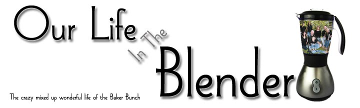 Our Life In The Blender