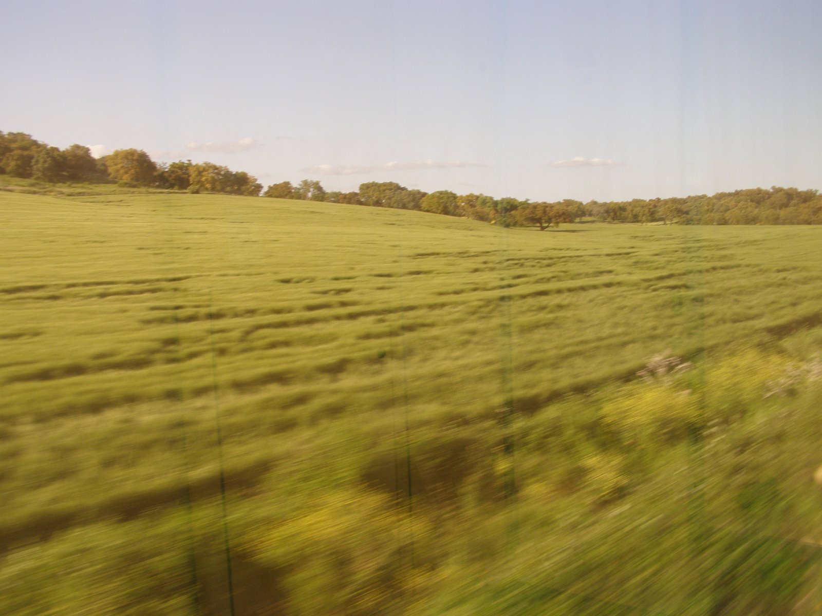 [P4280085.JPG]