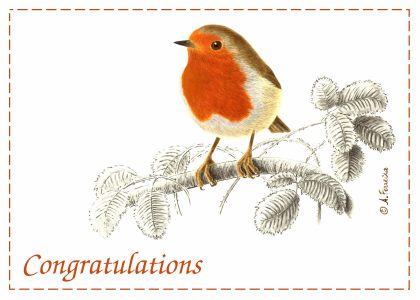 [CardRobinResiz.jpg]