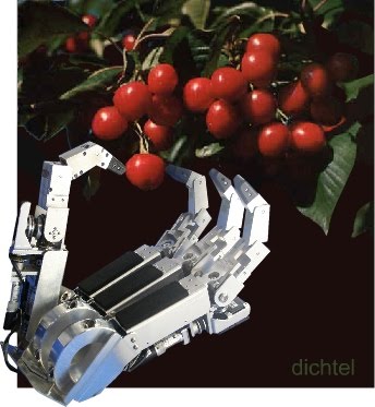 [Cherry+Pickers.jpg]
