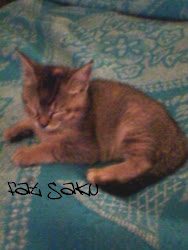 fat saku (mi gatita)